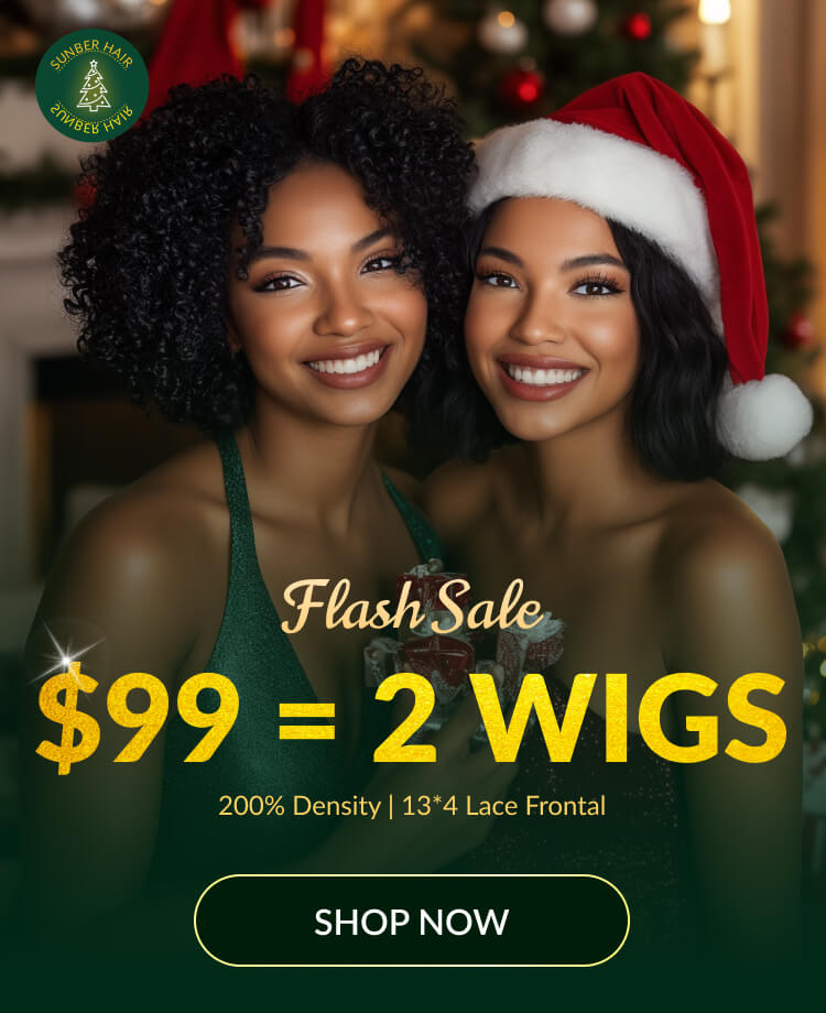 pc-christmas presale 99=2wigs-241213